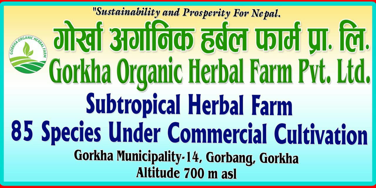 480505710_1183212097146344_4805413524741862060_n