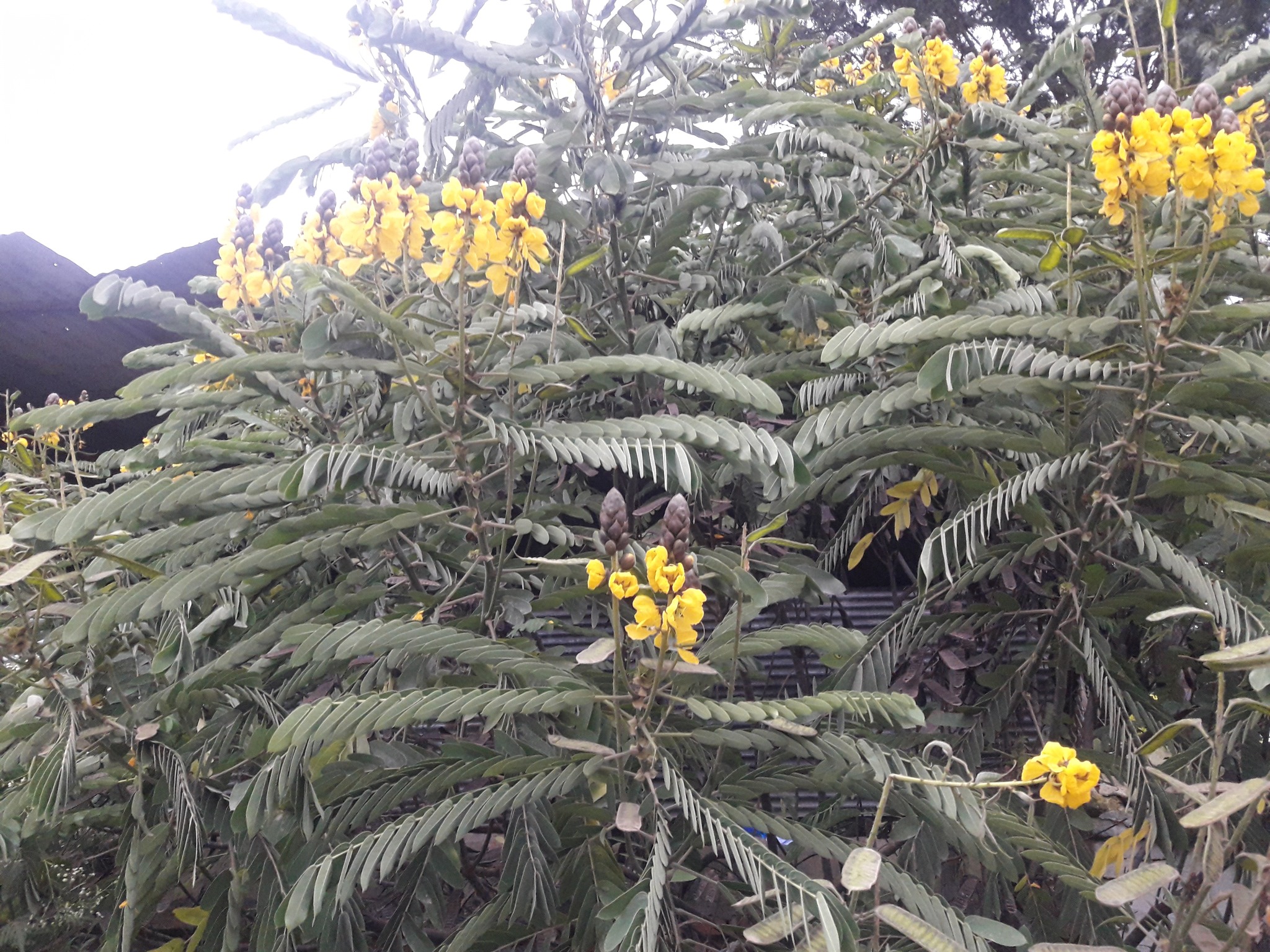 487301514_1220058896794997_4383157157792185453_n